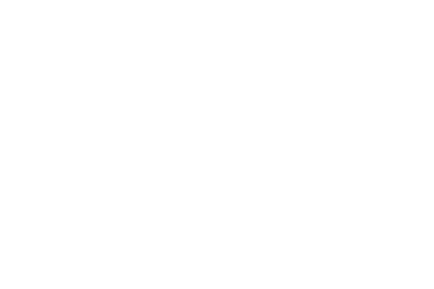 Crimson Screen Film Fest Winner Best Cinematography